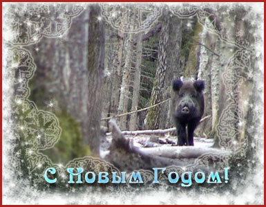 Дорогие друзья! В Новом Году хочется пожелать вам... Дорогие друзья! В Новом Году хочется пожелать вам...